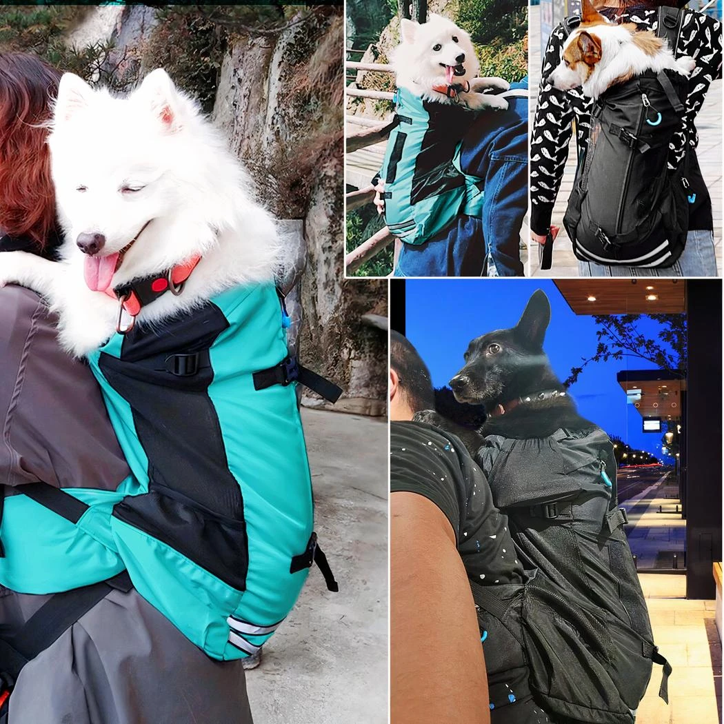 Sac à Dos Respirant Pour Grand Chien – Image 3
