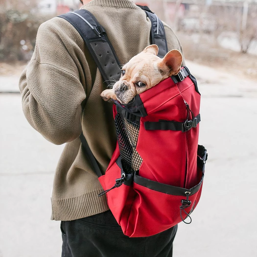 Sac à Dos Pour Chien Avec Ouverture – Image 4